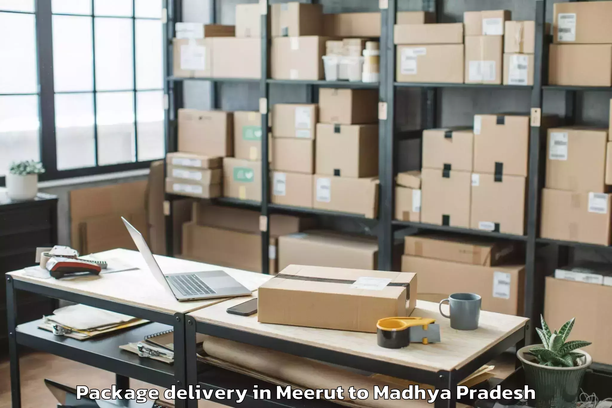 Trusted Meerut to Dhana Package Delivery